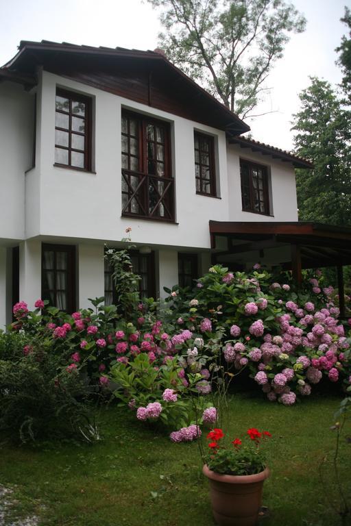 Beta Home ספנג'ה חדר תמונה