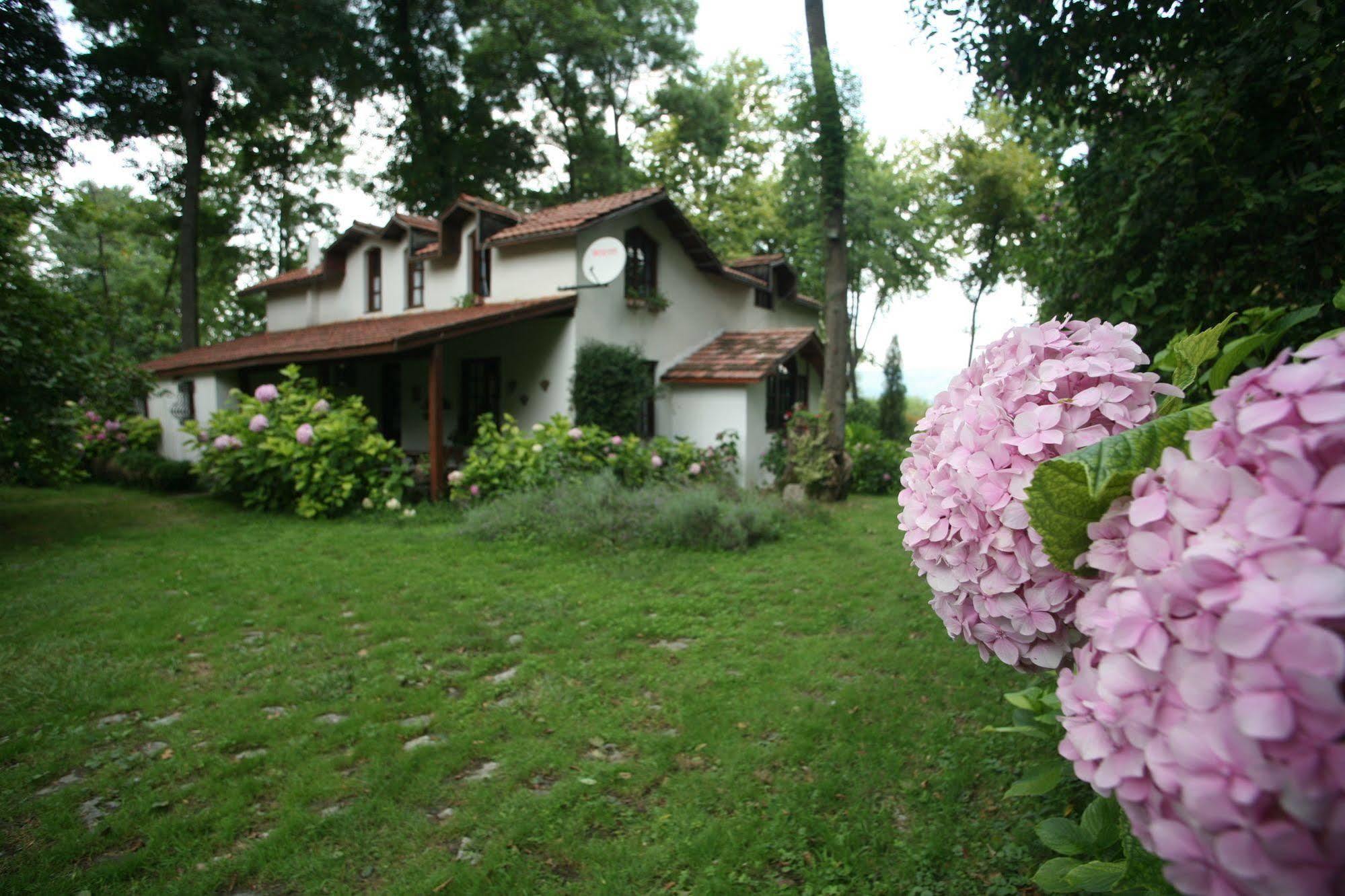 Beta Home ספנג'ה מראה חיצוני תמונה